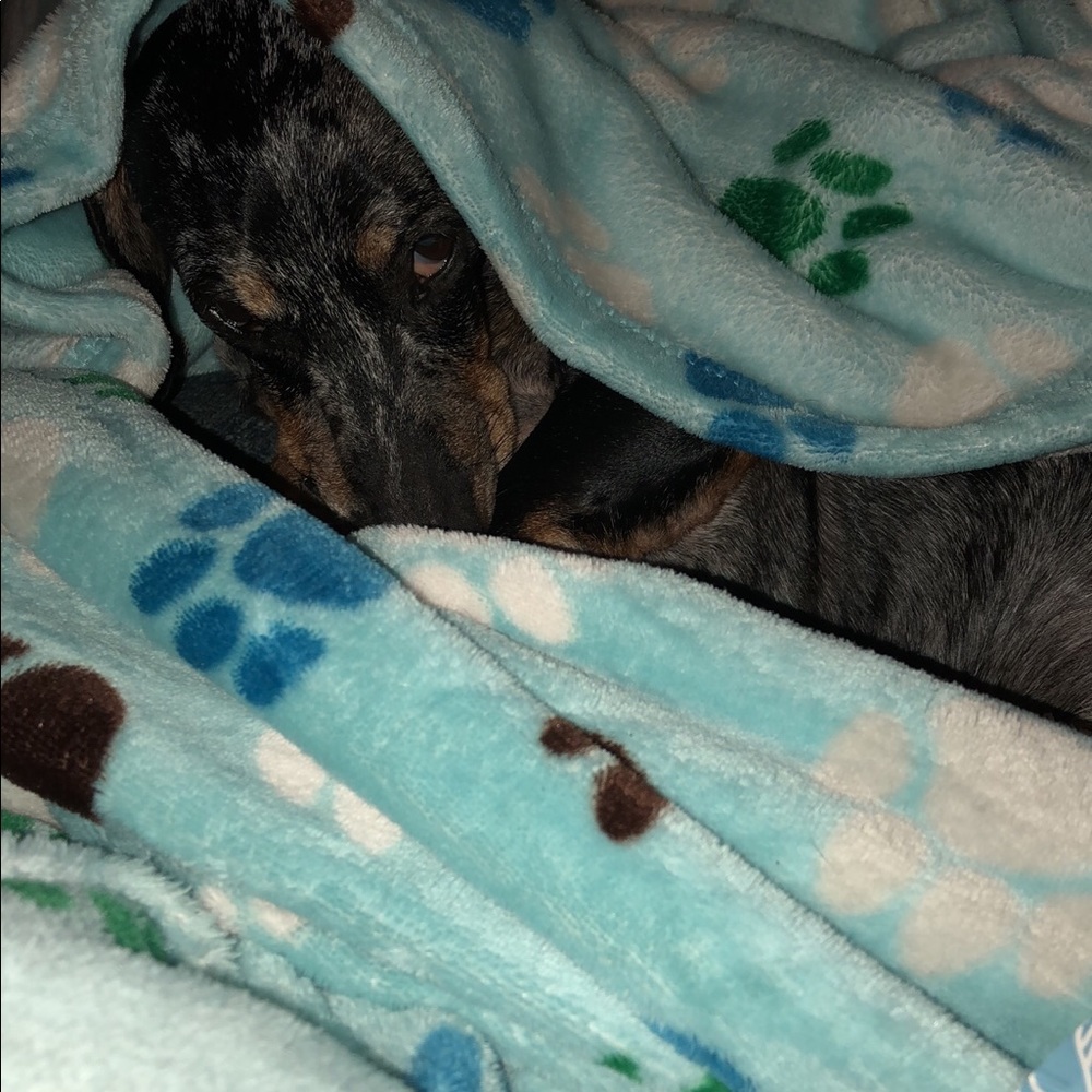 Meet your Posher, Lori